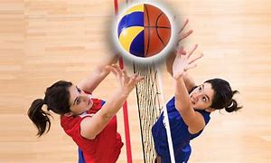 Image result for Basketball and Volleyball