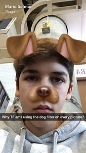 Image result for Animals Funny Snapchat Filters