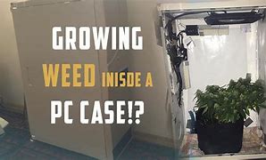 Image result for Weed Computer Case