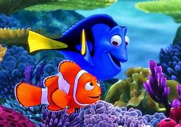 Image result for Animals From Finding Nemo