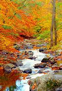 Image result for early autumn scenery