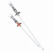 Image result for Veterinary IV Catheters