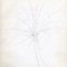 Image result for Palm Tree Drawing