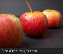 Image result for Combo Apple Tree