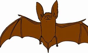 Image result for Wide Bat Clip Art