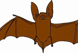 Image result for Brown Bat Clip Art