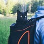 Image result for Adventure Cat Backpack