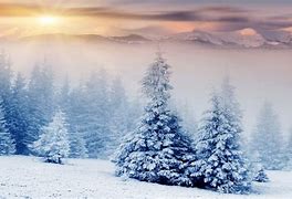 Image result for Snow Arount the Screen