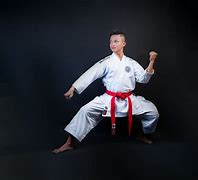 Image result for martial arts'