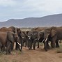 Image result for Masai Mara National Park Sunset Kenya