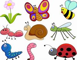 Image result for Insect Cartoon Pic