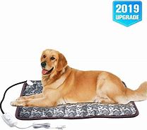 Image result for Chewy Dog House Mat