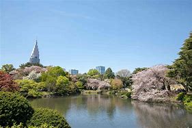 Image result for Tokyo Parks City