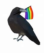 Image result for Funny Raven