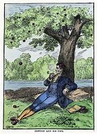 Image result for Isaac Newton Apple Portrait