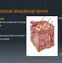 Image result for Horizontal vs Vertical Direction