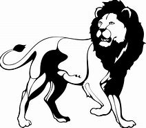 Image result for Lion Drawing Black and White Diffrent Pasitions