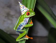 Image result for Frog with Top Hat