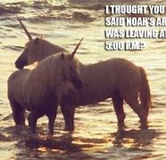 Image result for Cool Unicorn Meme