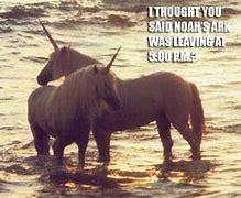Image result for You Are a Unicorn Meme