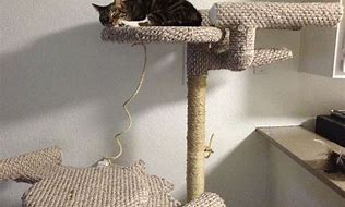 Image result for Star Trek Cat Tree