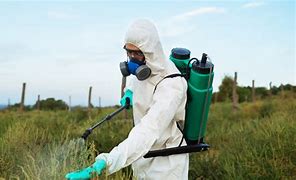 Image result for Insecticides and Pesticides