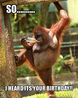 Image result for Monkey Birthday Meme