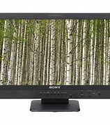 Image result for Sony PC Monitor