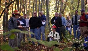 Image result for Local People and Forest