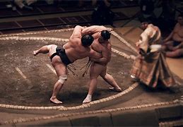Image result for Free Image Sumo Wrestler