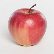 Image result for Macintosh Apple Fruit