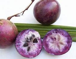 Image result for Purple Star Apple