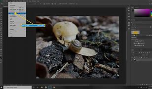 Image result for How to Make Pictures Smaller