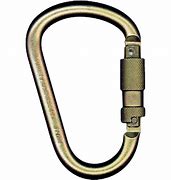 Image result for Industrial Carabiners