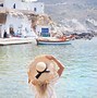 Image result for Cyclades Islands Greece People