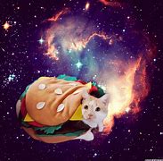 Image result for Cheeseburger Cat Wallpaper in Space