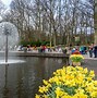 Image result for Keukenhof Gardens Tours