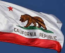 Image result for Bandera De California Estados Unidos