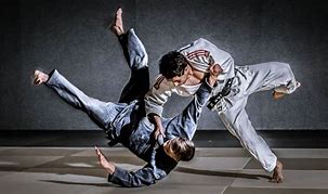 Image result for Brazilian Jiu Jitsu Photography