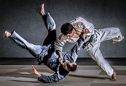 Image result for Judo Martial Arts