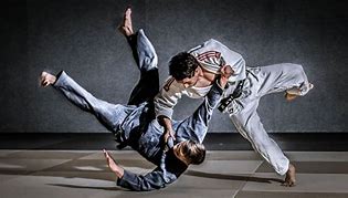 Image result for Judo MMA