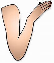 Image result for Reaching Hands and Arm Clip Art