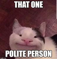 Image result for Polite Cat Meme