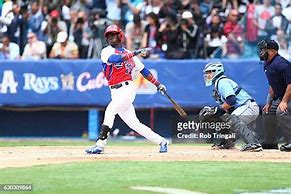 Image result for Cuban Bat