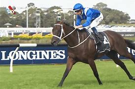 Image result for Thoroughbred Horse Racing