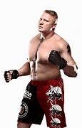 Image result for WWE Brock Lesnar Outfit