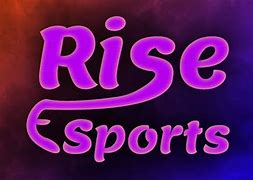 Image result for Rise eSports