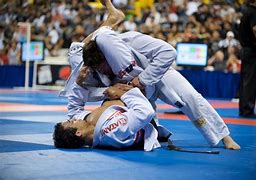 Image result for Brazilian Jiu-Jitsu