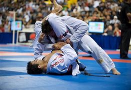 Image result for Brazilian Jiu-Jitsu