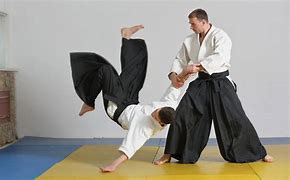 Image result for Aikido Throws